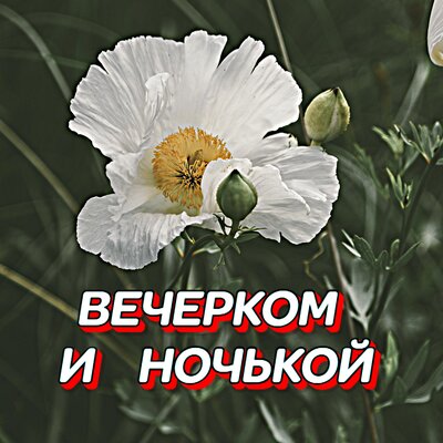 Гравитация - ВЕЧЕРКОМ И НОЧЬКОЙ