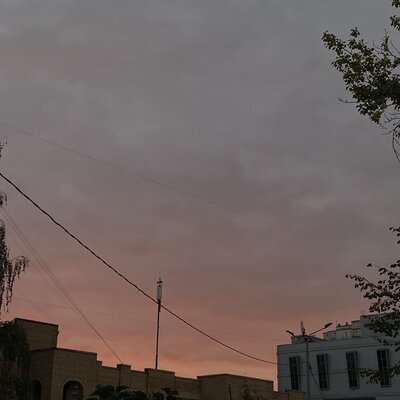 Rostiakov - King In School