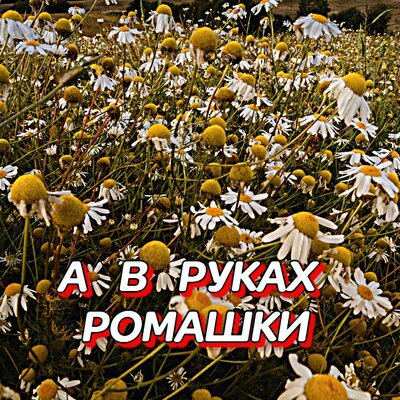 Гравитация - А В РУКАХ РОМАШКИ