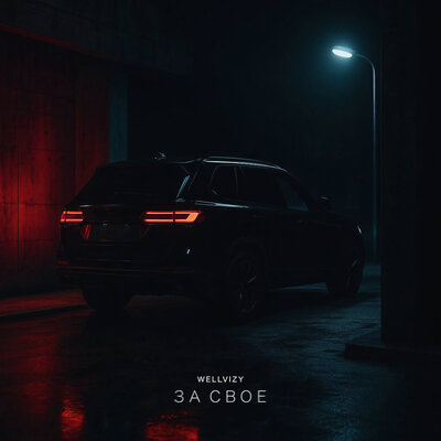 WELLVIZY - За Своё