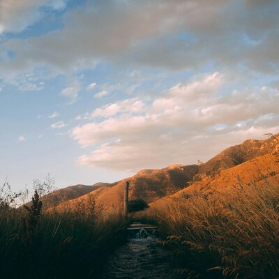 Nectry, Antent - Different Ways