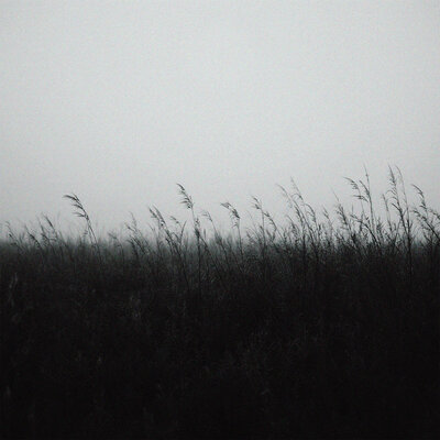 Hønda, Ambient - Always