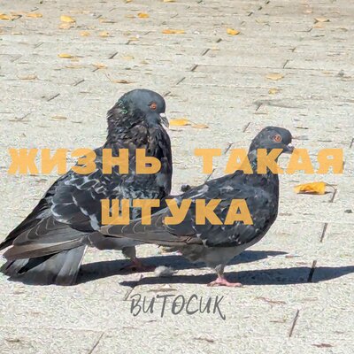 Витосик - Жизнь Такая Штука