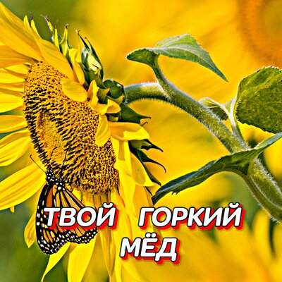 Гравитация - ТВОЙ ГОРКИЙ МЁД