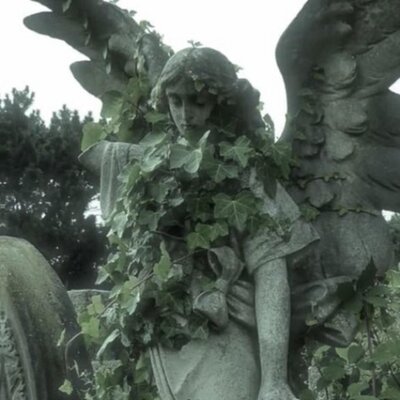 Perpetualll, Surreal_Dvd - Surreal_Dvd