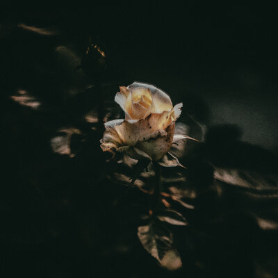 GLASS TIDES - Pieces Of Me