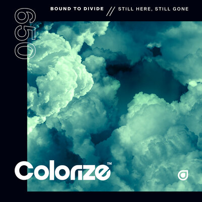 Bound To Divide - Still Here, Still Gone
