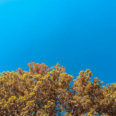 G YAMAZAWA, Armenhammer - For Love